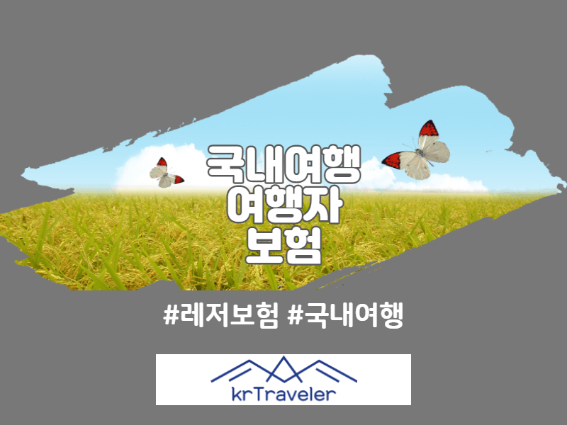 국내여행 여행자 보험 필요성 및 비교 썸네일