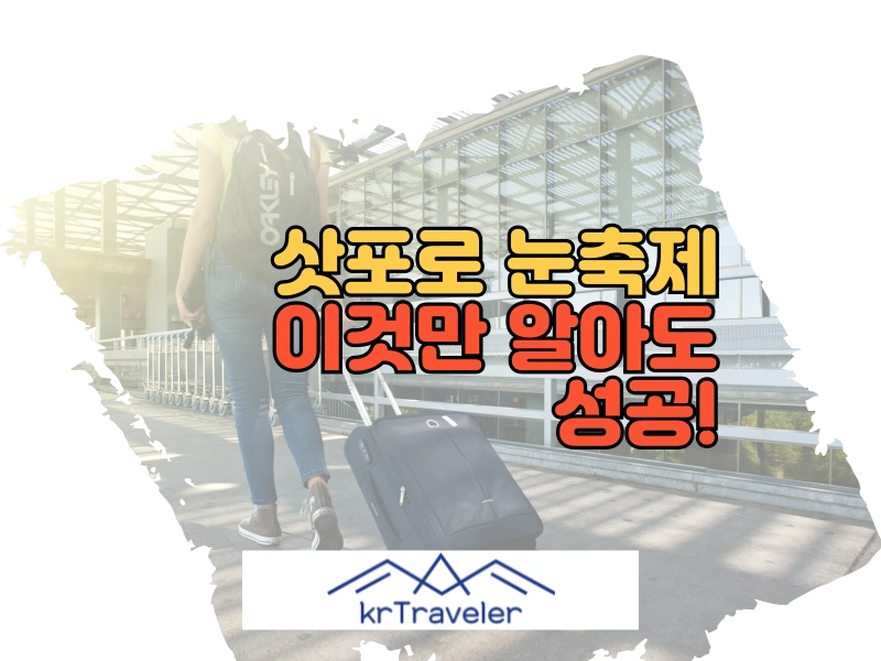 삿포로눈축제 대표 이미지
